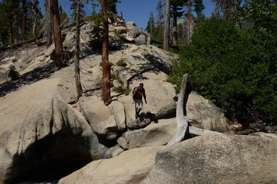 DSC_3808 (Large).JPG